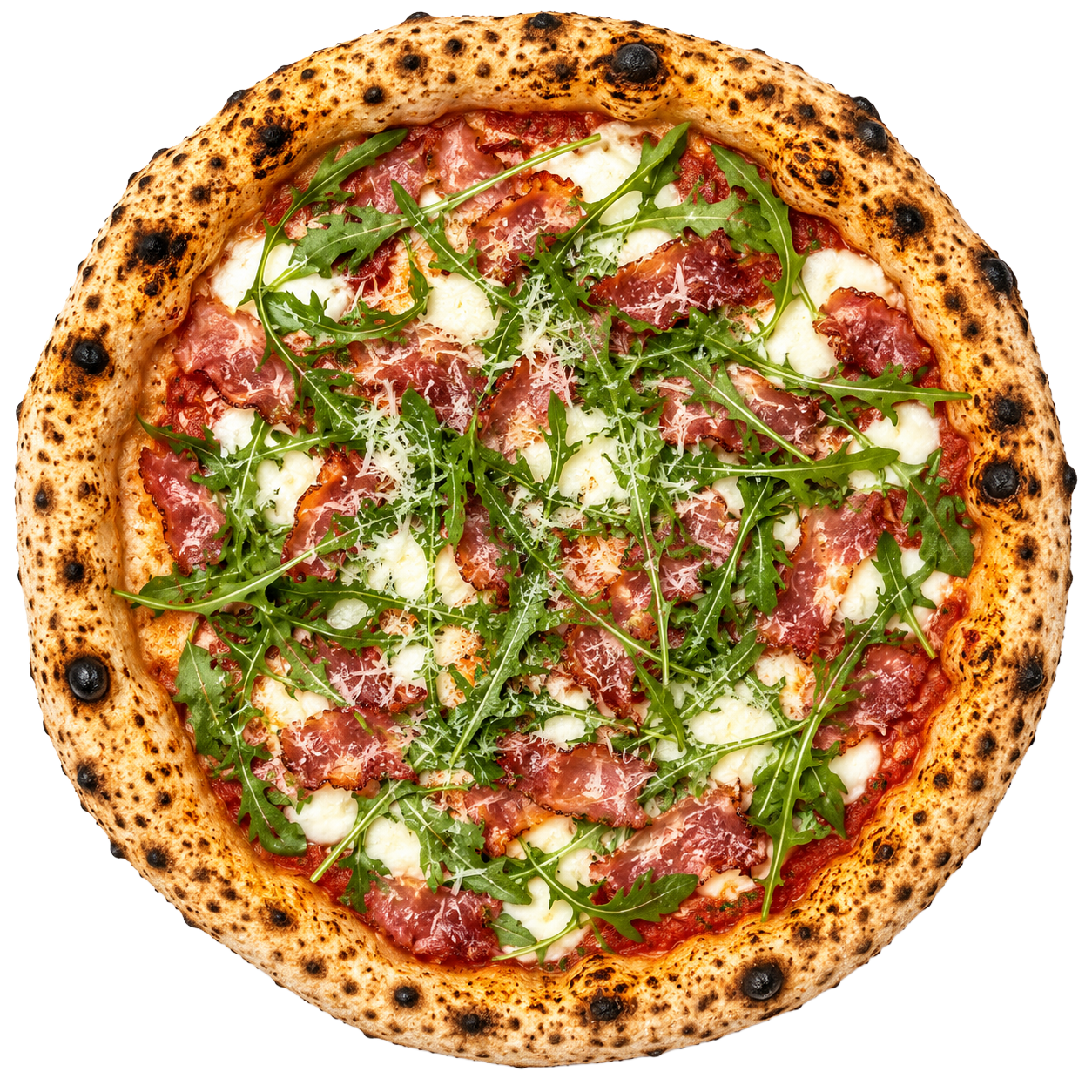 Neapolitan-Bacon